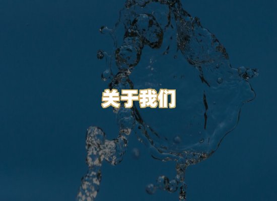 关于我们